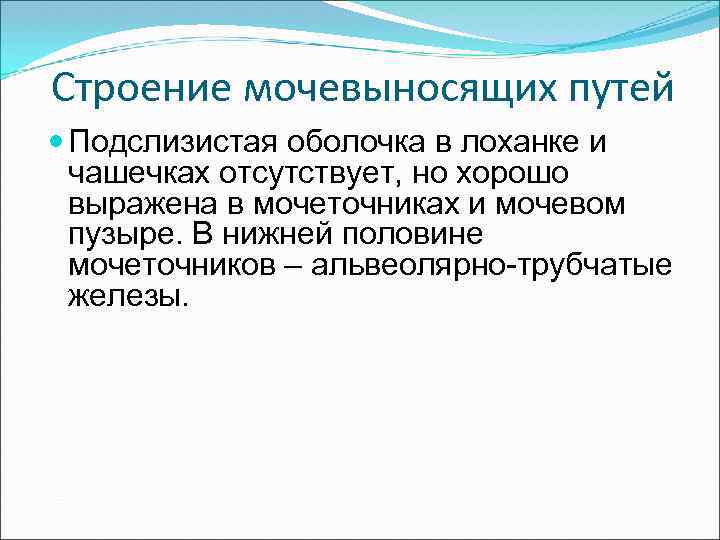 Строение мочевыносящих путей Подслизистая оболочка в лоханке и чашечках отсутствует, но хорошо выражена в