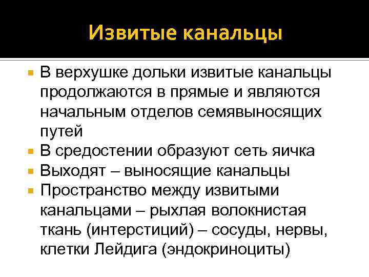 Извитые канальцы В верхушке дольки извитые канальцы продолжаются в прямые и являются начальным отделов