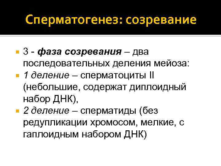 Сперматогенез: созревание 3 - фаза созревания – два последовательных деления мейоза: 1 деление –