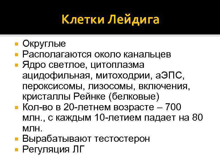 Клетки Лейдига Округлые Располагаются около канальцев Ядро светлое, цитоплазма ацидофильная, митоходрии, а. ЭПС, пероксисомы,