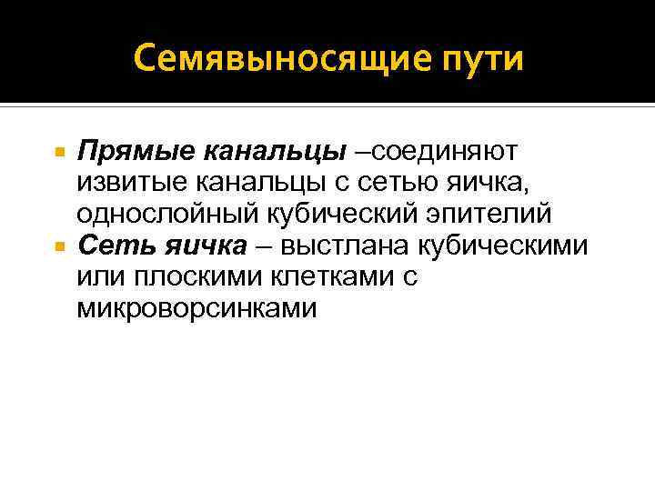 Семявыносящие пути Прямые канальцы –соединяют извитые канальцы с сетью яичка, однослойный кубический эпителий Сеть