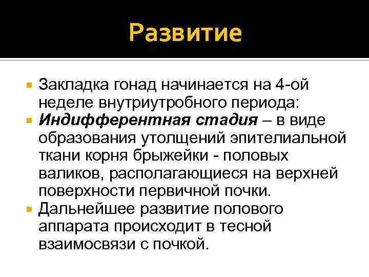 Развитие Закладка гонад начинается на 4 -ой неделе внутриутробного периода: Индифферентная стадия – в