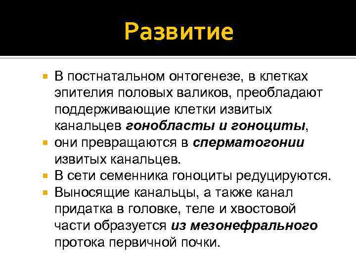 Развитие В постнатальном онтогенезе, в клетках эпителия половых валиков, преобладают поддерживающие клетки извитых канальцев