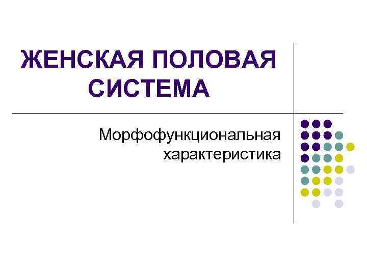ЖЕНСКАЯ ПОЛОВАЯ СИСТЕМА Морфофункциональная характеристика 
