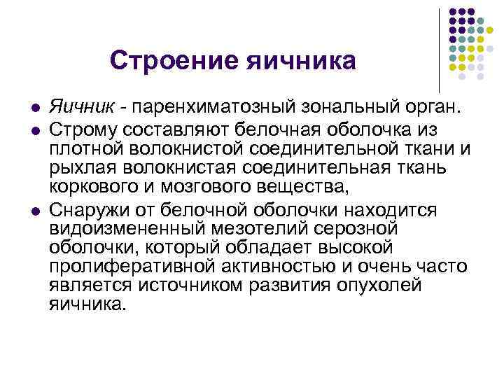 Строение яичника l l l Яичник - паренхиматозный зональный орган. Строму составляют белочная оболочка