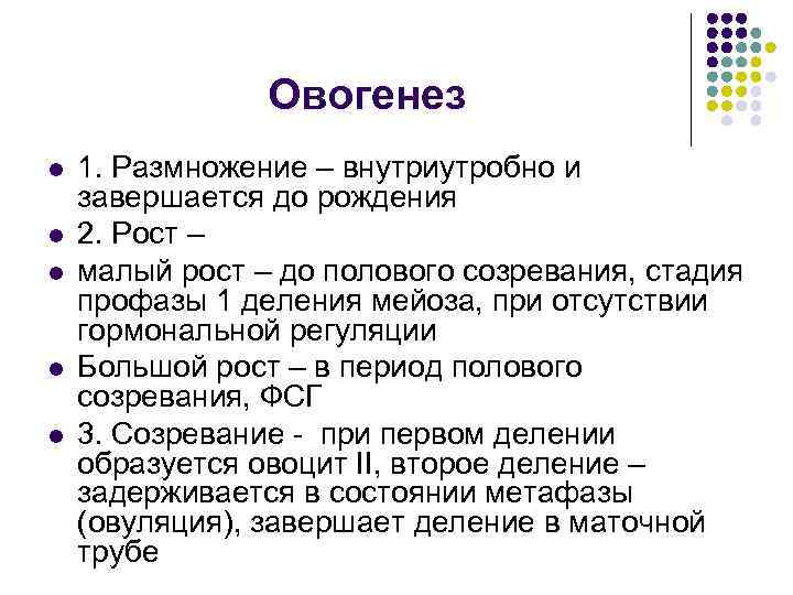 Овогенез l l l 1. Размножение – внутриутробно и завершается до рождения 2. Рост