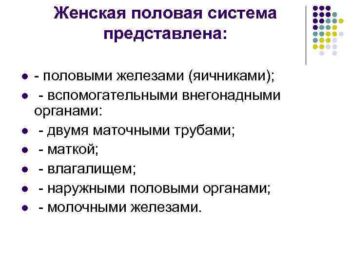 Женская половая система представлена: l l l l - половыми железами (яичниками); - вспомогательными