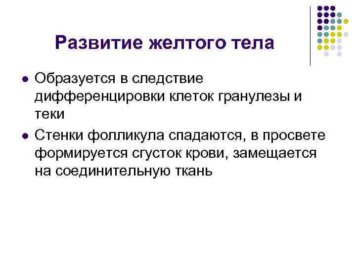 Развитие желтого тела l l Образуется в следствие дифференцировки клеток гранулезы и теки Стенки