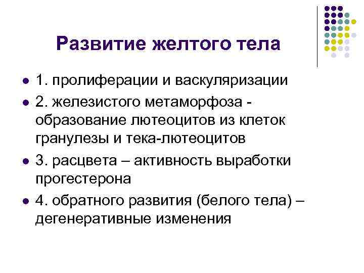 Развитие желтого тела l l 1. пролиферации и васкуляризации 2. железистого метаморфоза образование лютеоцитов