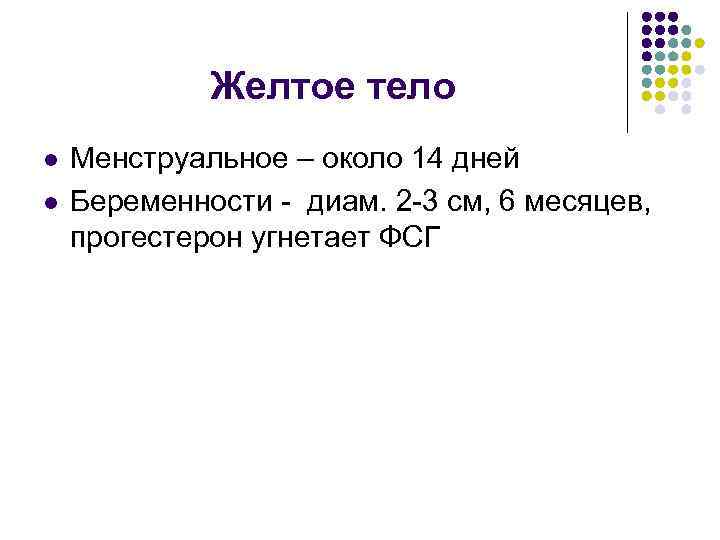 Желтое тело l l Менструальное – около 14 дней Беременности - диам. 2 -3