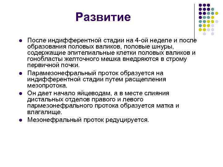 Развитие l l После индифферентной стадии на 4 -ой неделе и после образования половых