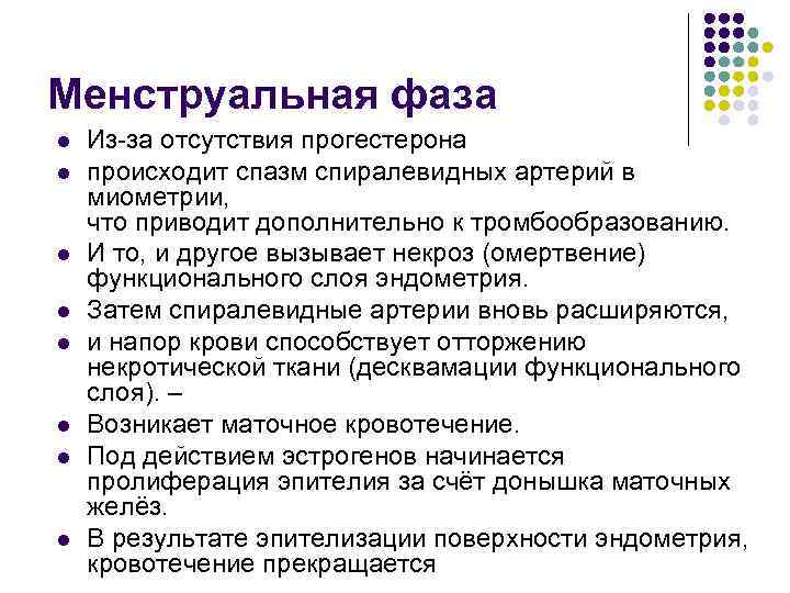 Менструальная фаза l l l l Из-за отсутствия прогестерона происходит спазм спиралевидных артерий в