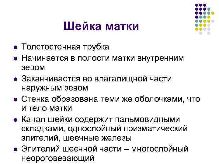Шейка матки l l l Толстостенная трубка Начинается в полости матки внутренним зевом Заканчивается