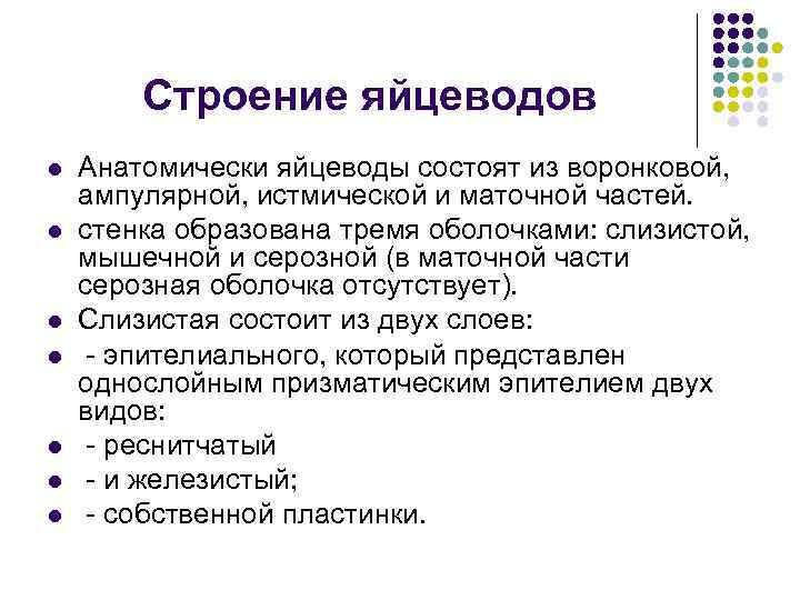 Строение яйцеводов l l l l Анатомически яйцеводы состоят из воронковой, ампулярной, истмической и