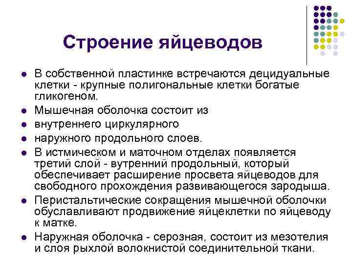 Строение яйцеводов l l l l В собственной пластинке встречаются децидуальные клетки - крупные
