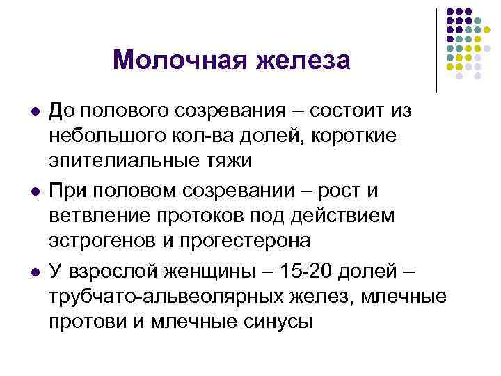Молочная железа l l l До полового созревания – состоит из небольшого кол-ва долей,