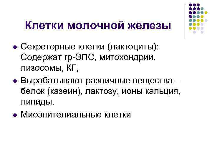 Клетки молочной железы l l l Секреторные клетки (лактоциты): Содержат гр-ЭПС, митохондрии, лизосомы, КГ,