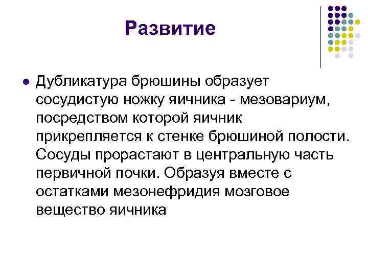 Развитие l Дубликатура брюшины образует сосудистую ножку яичника - мезовариум, посредством которой яичник прикрепляется