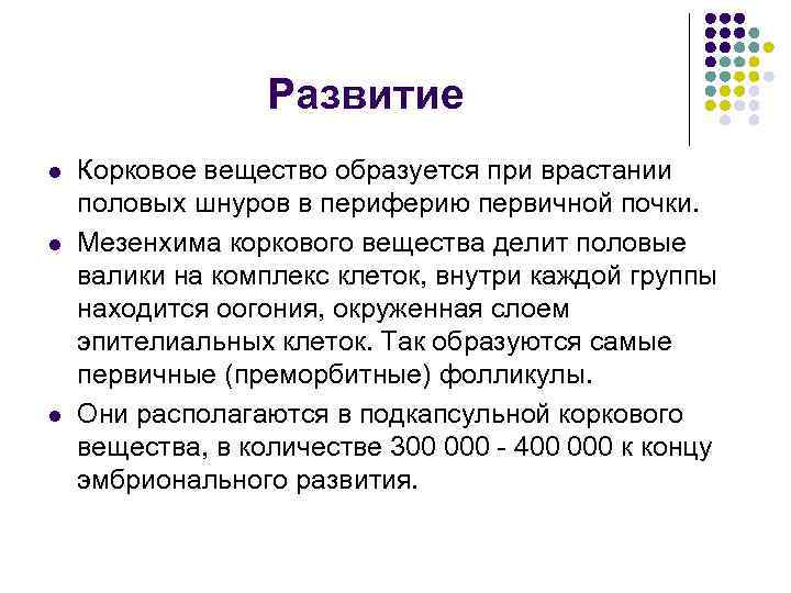 Развитие l l l Корковое вещество образуется при врастании половых шнуров в периферию первичной