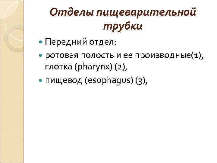 Отделы пищеварительной трубки Передний отдел: ротовая полость и ее производные(1), глотка (pharynx) (2), пищевод