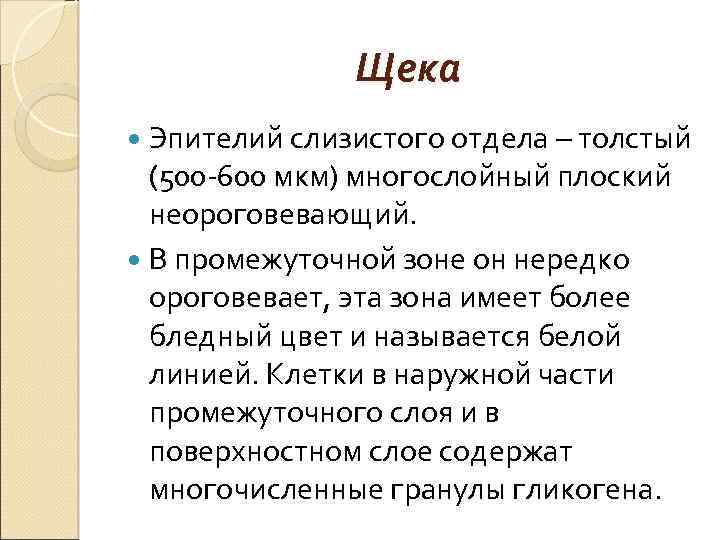 Щека Эпителий слизистого отдела – толстый (500 -600 мкм) многослойный плоский неороговевающий. В промежуточной