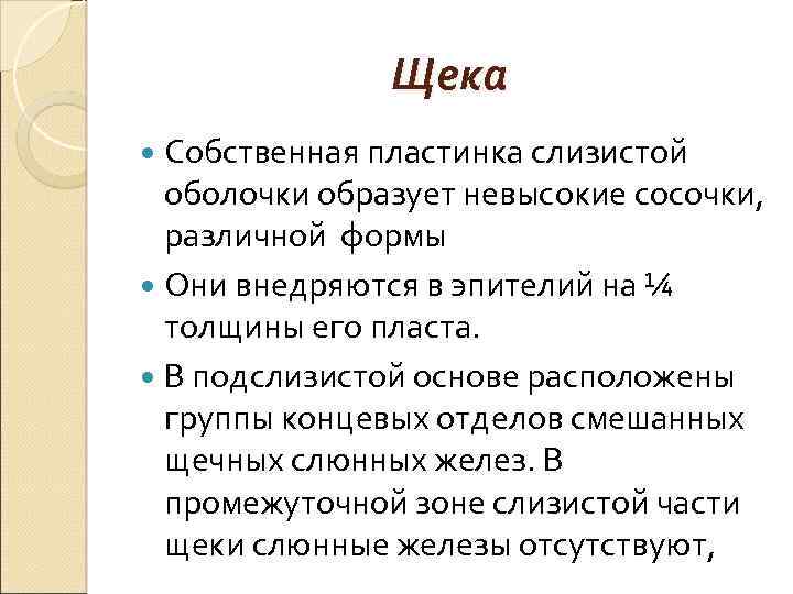 Щека Собственная пластинка слизистой оболочки образует невысокие сосочки, различной формы Они внедряются в эпителий