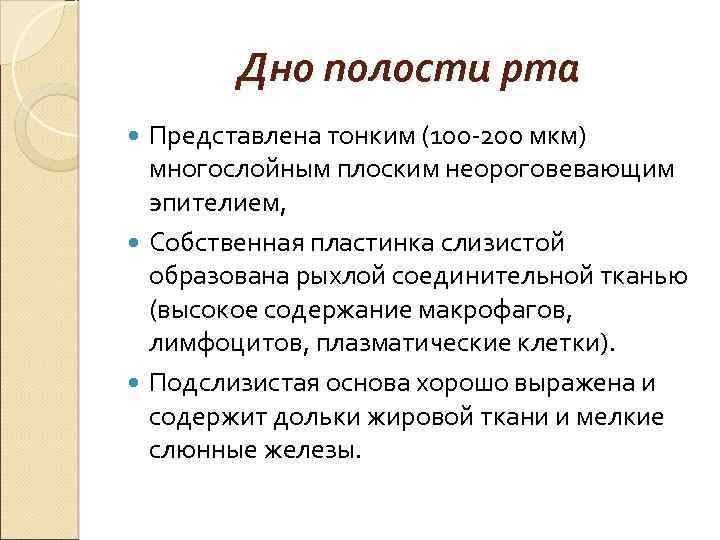 Дно полости рта Представлена тонким (100 -200 мкм) многослойным плоским неороговевающим эпителием, Собственная пластинка