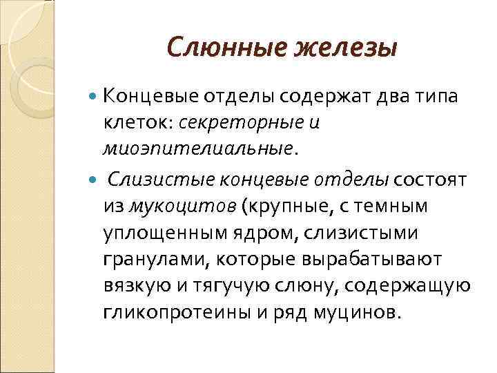 Слюнные железы Концевые отделы содержат два типа клеток: секреторные и миоэпителиальные. Слизистые концевые отделы