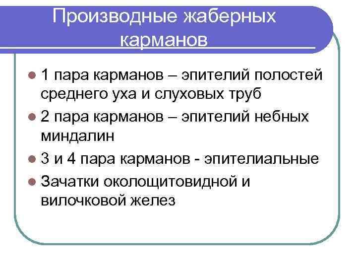 Производные жаберных карманов l 1 пара карманов – эпителий полостей среднего уха и слуховых