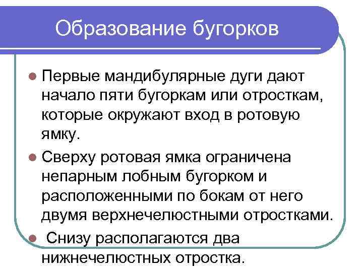 Образование бугорков l Первые мандибулярные дуги дают начало пяти бугоркам или отросткам, которые окружают