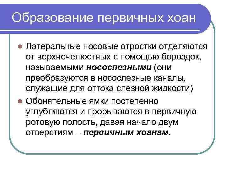 Образование первичных хоан Латеральные носовые отростки отделяются от верхнечелюстных с помощью бороздок, называемыми носослезными