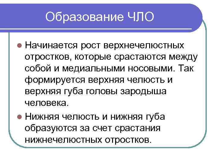 Образование ЧЛО l Начинается рост верхнечелюстных отростков, которые срастаются между собой и медиальными носовыми.