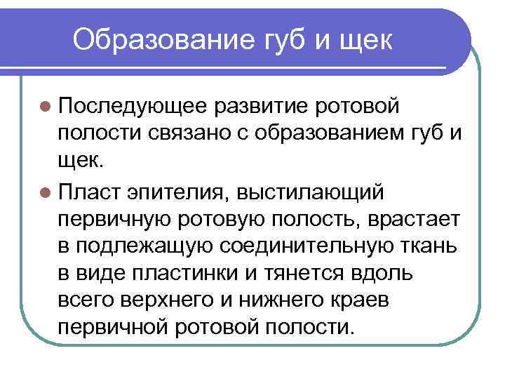 Образование губ и щек l Последующее развитие ротовой полости связано с образованием губ и