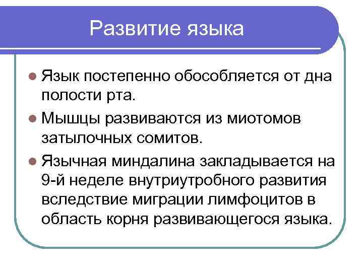 Развитие языка l Язык постепенно обособляется от дна полости рта. l Мышцы развиваются из