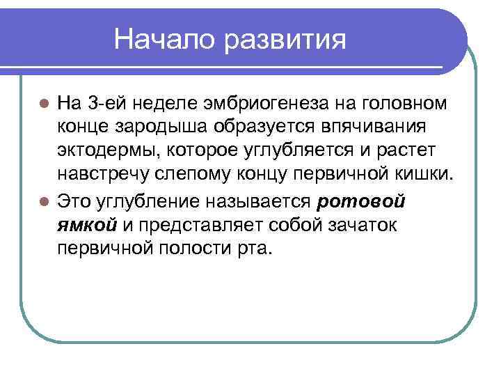 Начало развития На 3 -ей неделе эмбриогенеза на головном конце зародыша образуется впячивания эктодермы,