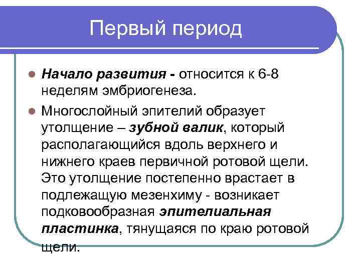 Первый период Начало развития - относится к 6 -8 неделям эмбриогенеза. l Многослойный эпителий