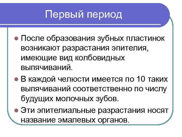 Первый период l После образования зубных пластинок возникают разрастания эпителия, имеющие вид колбовидных выпячиваний.