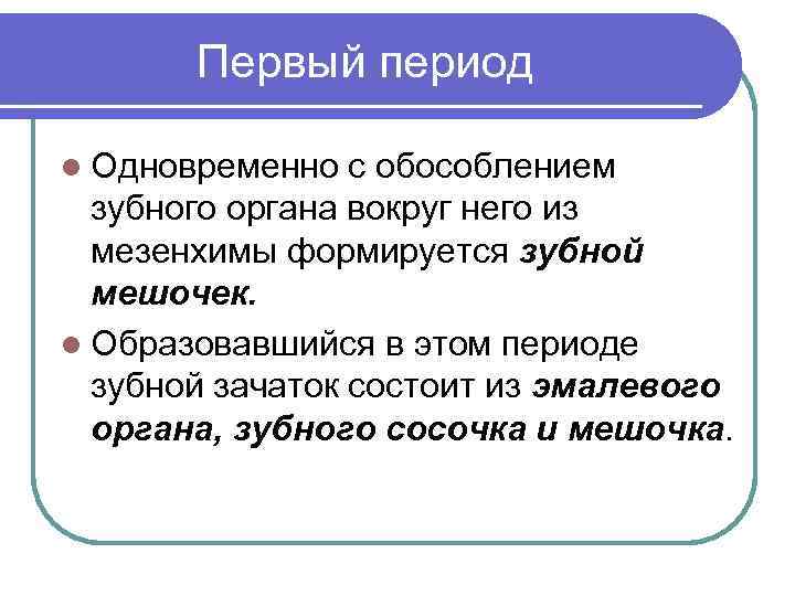 Первый период l Одновременно с обособлением зубного органа вокруг него из мезенхимы формируется зубной