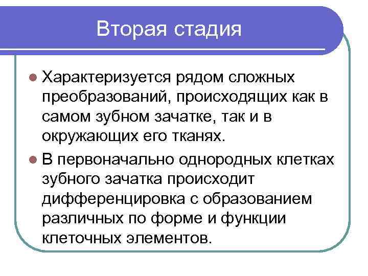 Вторая стадия l Характеризуется рядом сложных преобразований, происходящих как в самом зубном зачатке, так