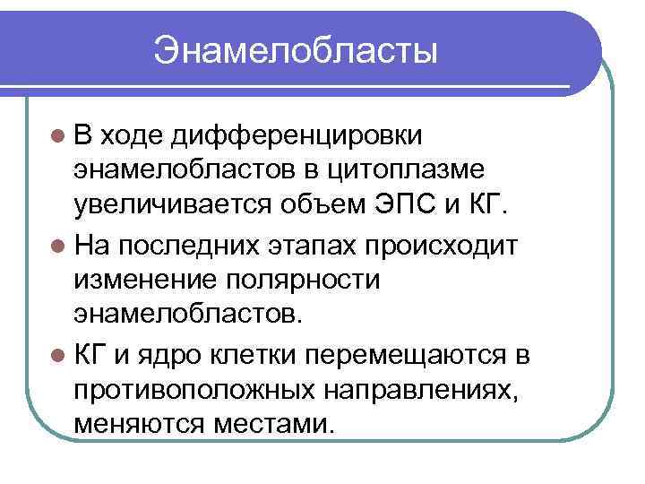 Энамелобласты l. В ходе дифференцировки энамелобластов в цитоплазме увеличивается объем ЭПС и КГ. l