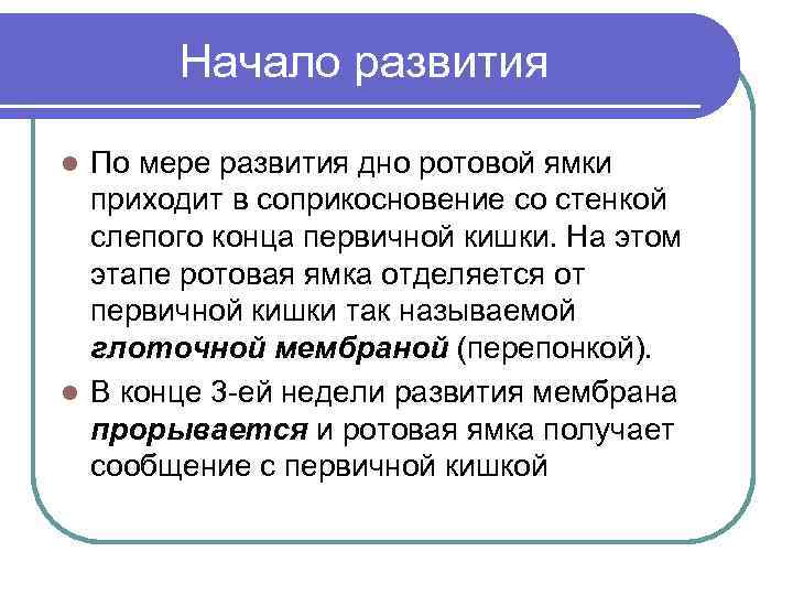 Начало развития По мере развития дно ротовой ямки приходит в соприкосновение со стенкой слепого