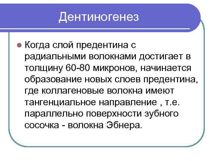 Дентиногенез l Когда слой предентина с радиальными волокнами достигает в толщину 60 -80 микронов,