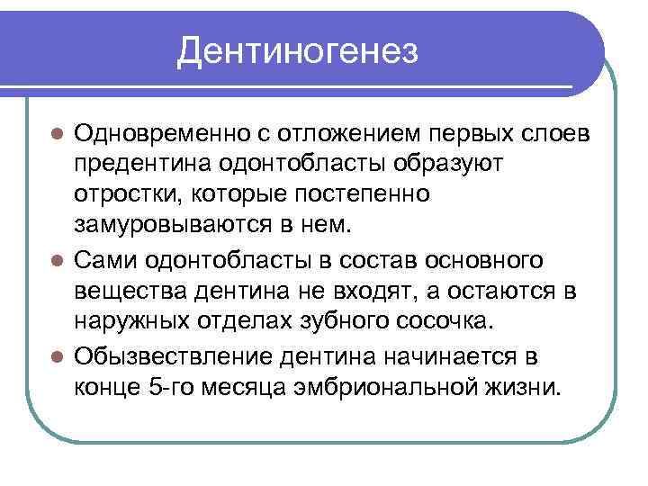 Дентиногенез Одновременно с отложением первых слоев предентина одонтобласты образуют отростки, которые постепенно замуровываются в