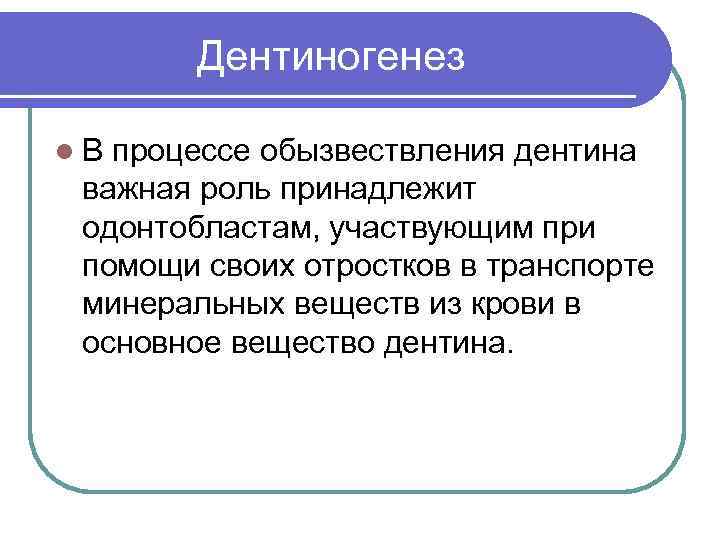 Дентиногенез l. В процессе обызвествления дентина важная роль принадлежит одонтобластам, участвующим при помощи своих