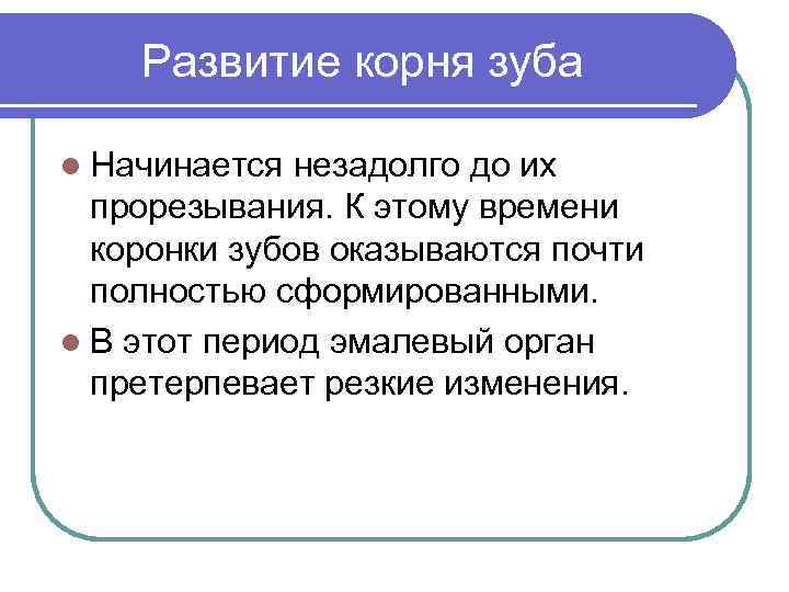 Развитие корня зуба l Начинается незадолго до их прорезывания. К этому времени коронки зубов