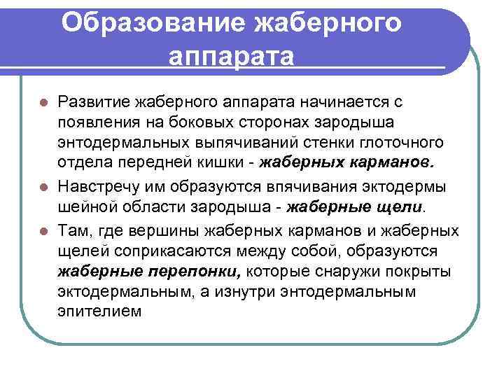 Образование жаберного аппарата Развитие жаберного аппарата начинается с появления на боковых сторонах зародыша энтодермальных