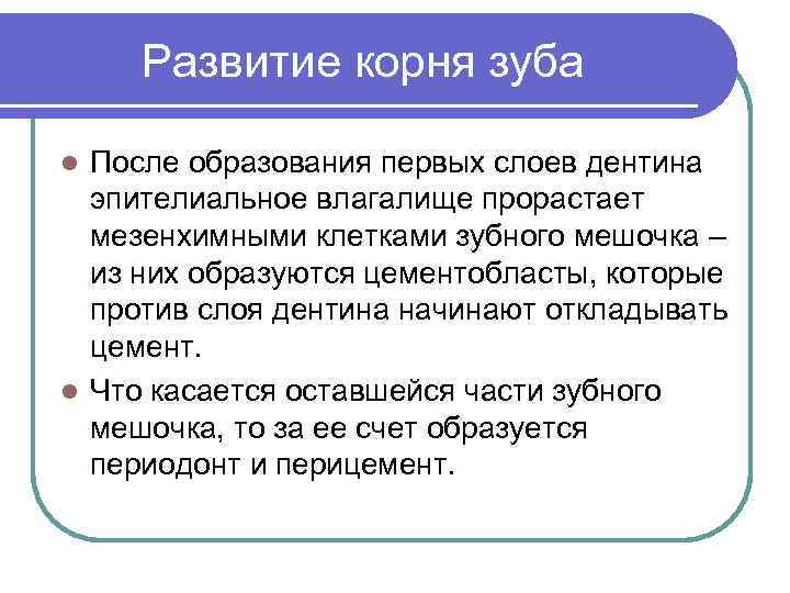 Развитие корня зуба После образования первых слоев дентина эпителиальное влагалище прорастает мезенхимными клетками зубного