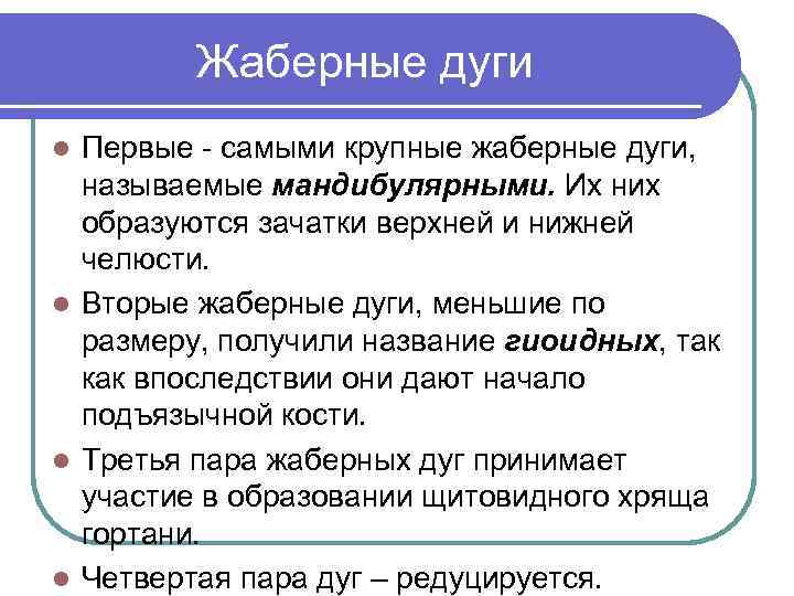 Жаберные дуги Первые - самыми крупные жаберные дуги, называемые мандибулярными. Их них образуются зачатки