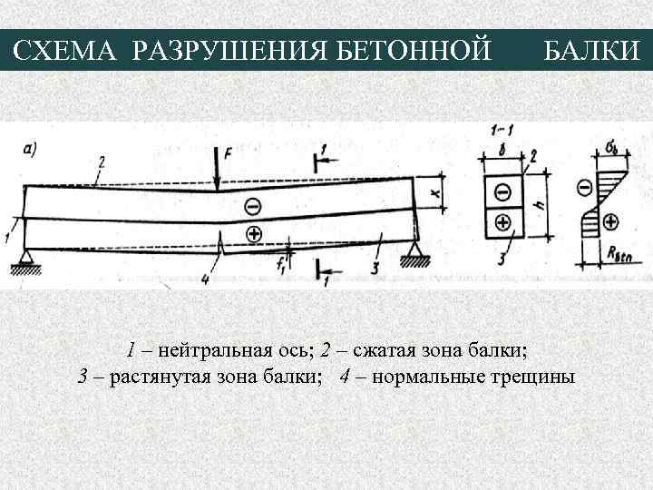 СХЕМА РАЗРУШЕНИЯ БЕТОННОЙ БАЛКИ 1 – нейтральная ось; 2 – сжатая зона балки; 3