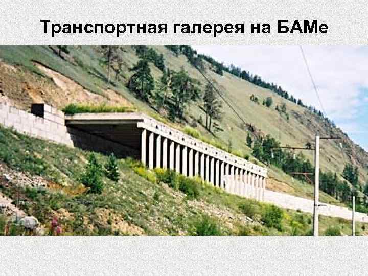 Транспортная галерея на БАМе 